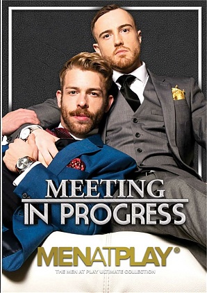 Meeting In Progress (2020)
