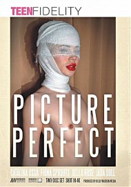 Picture Perfect (2 DVD Set) (2021) (214609.100)